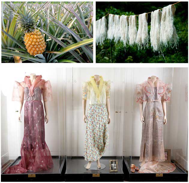 Clothing made from pineapple fiber