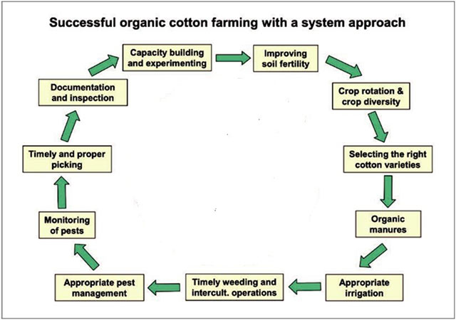 Organic Cotton – A Sustainable Solution for the Fashion Industry