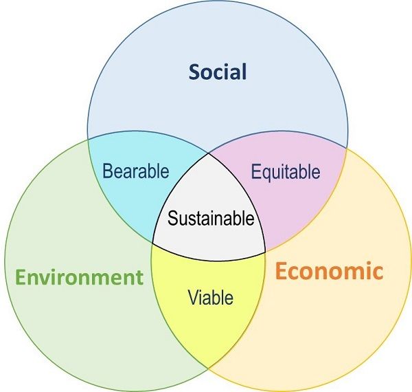 Recognizing sustainability in the new context