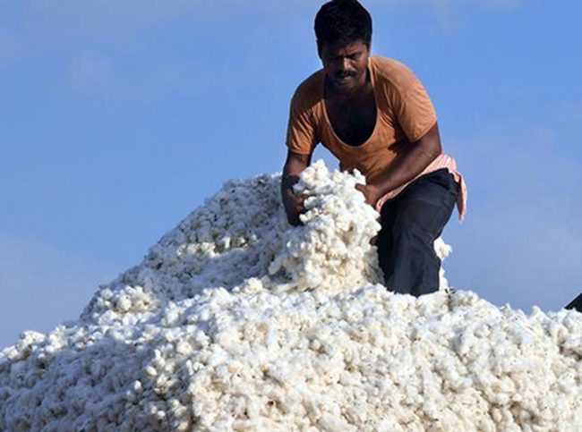 Indian textile companies reducing production