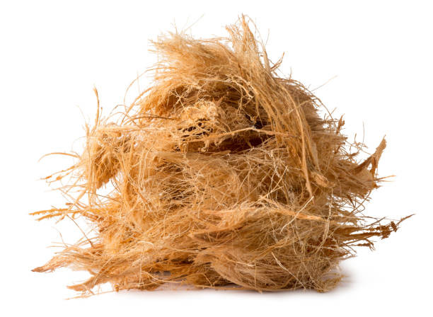 Sustainable Coir fibers for eco-friendly products and textiles