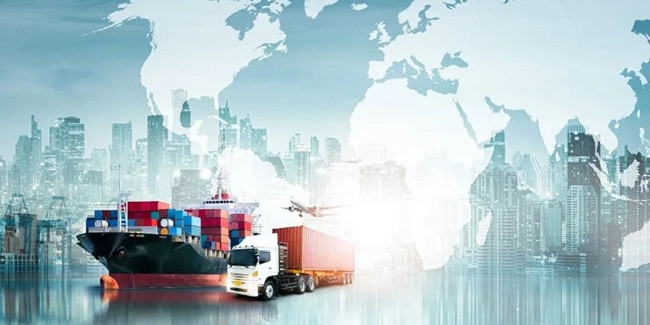 The global textile trade in transition from cotton to commerce-FY 2024–25